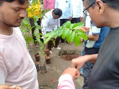 Whatsapp Image 2025 07 09 At 12.15.20 Pm