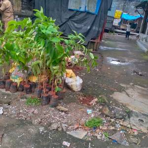 WhatsApp_Image_2025-07-09_at_12.15.19_PM_1_original