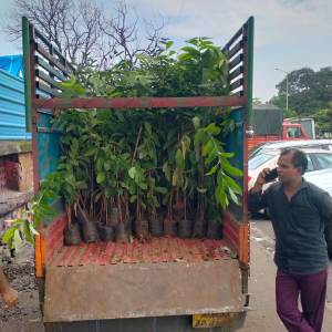 WhatsApp_Image_2025-07-09_at_12.15.19_PM_original