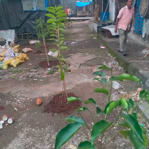 WhatsApp_Image_2025-07-09_at_12.15.22_PM_original