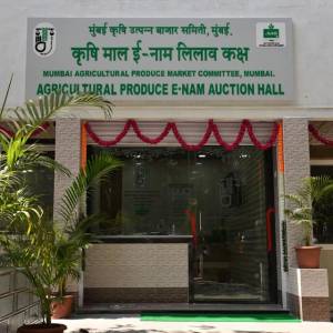 51446545_393227271251395_8938516929472102400_n_original