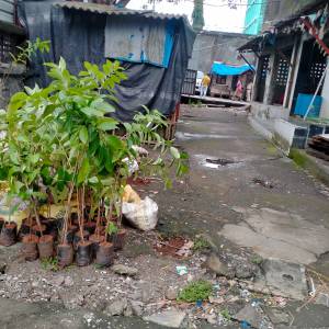 WhatsApp_Image_2025-07-09_at_12.15.20_PM_1_original