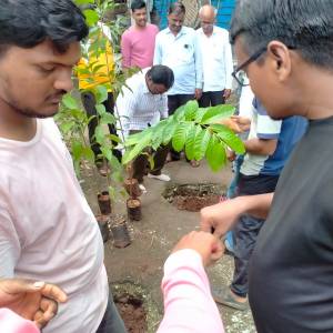 WhatsApp_Image_2025-07-09_at_12.15.20_PM_original